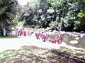 28 - Jardin des eaux 019